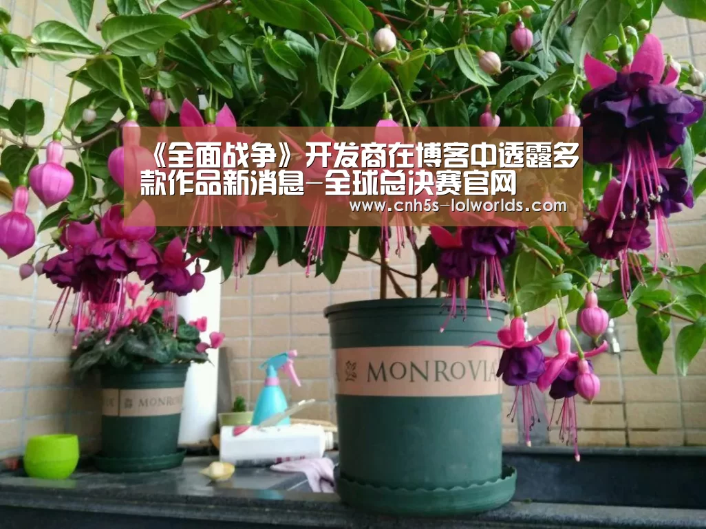 LOL世界赛官网